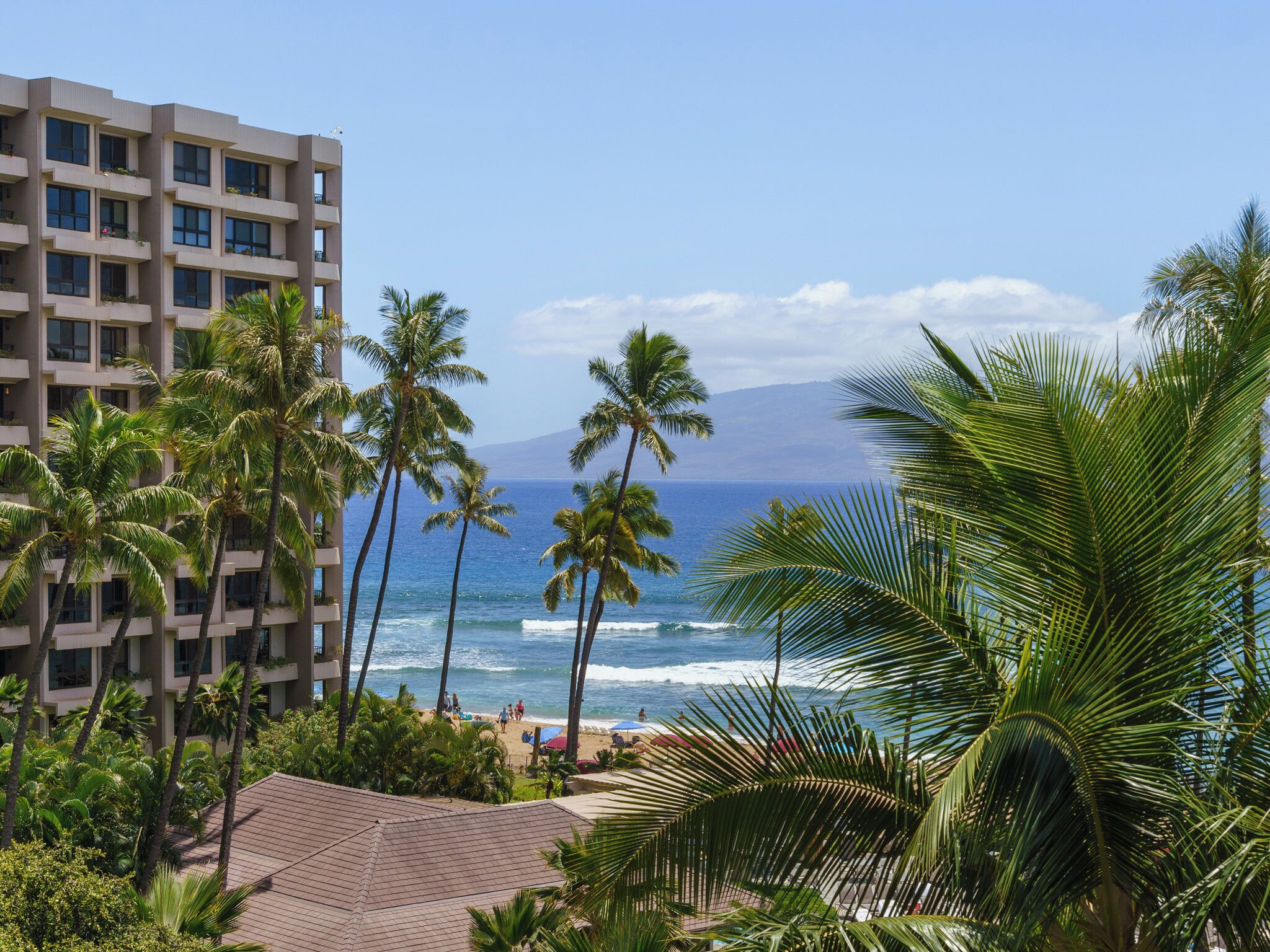 Condo, 1 Bedroom (261) | Front of property