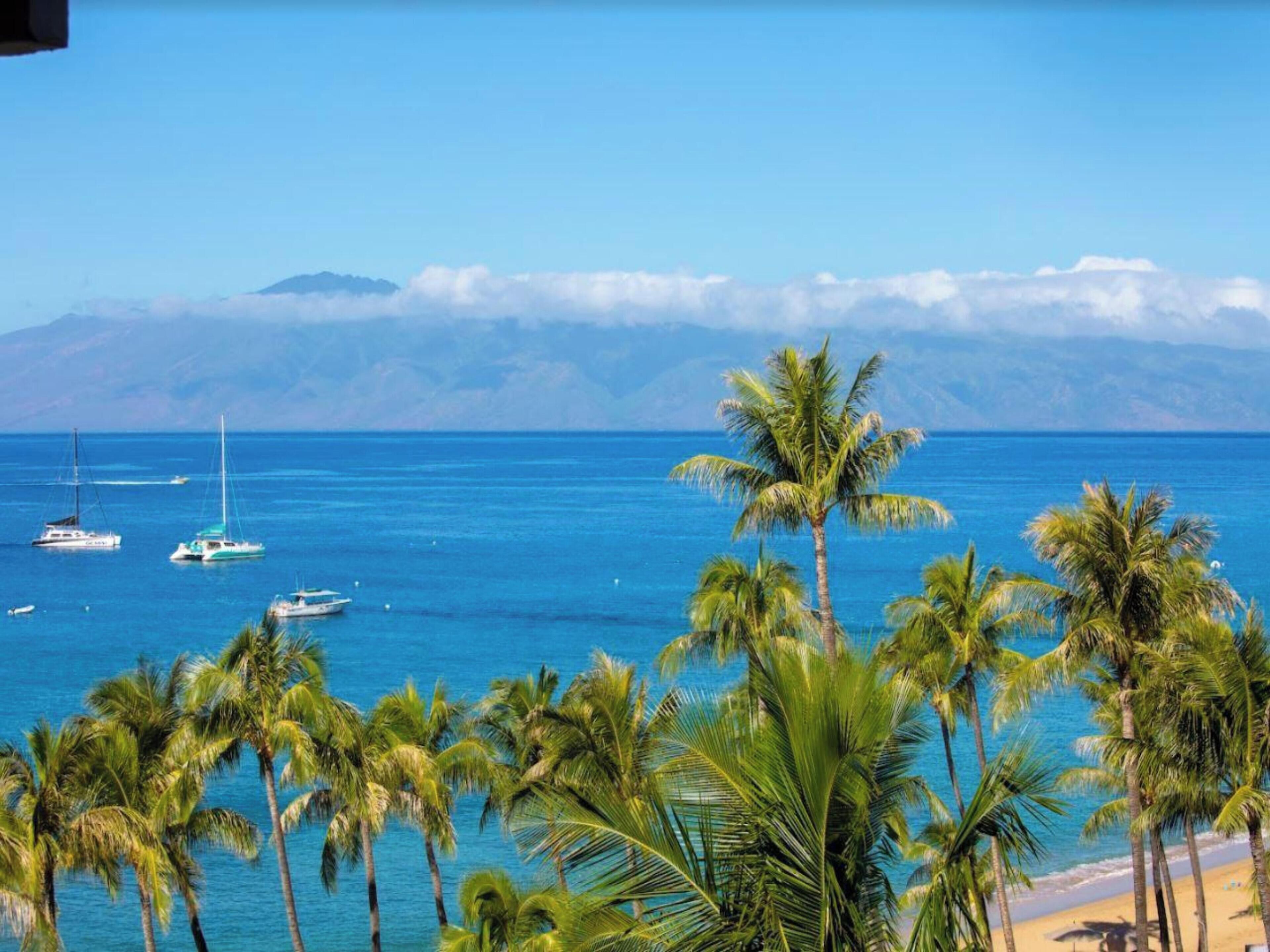 Condo, 2 Bedrooms (381) | Front of property