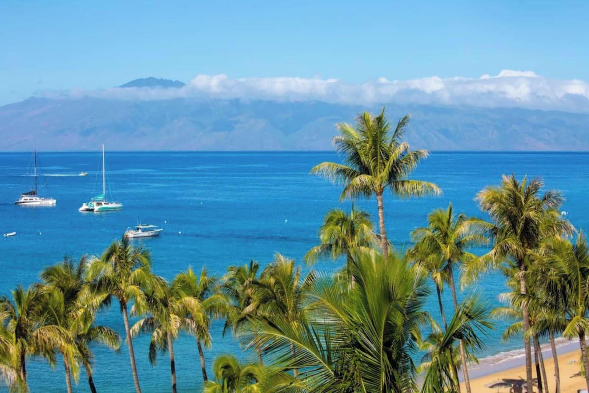 Condo, 2 Bedrooms (381) | Front of property