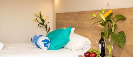 Habitación individual básica | Wifi gratis