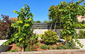 Un giardino con diverse piante e un recinto in legno.