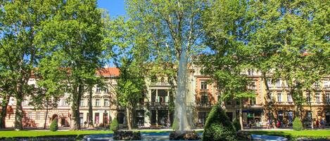 Un gran árbol en un jardín cuidado con una fuente, rodeado de edificios históricos con arquitectura clásica.