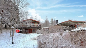 Ulkopuoli