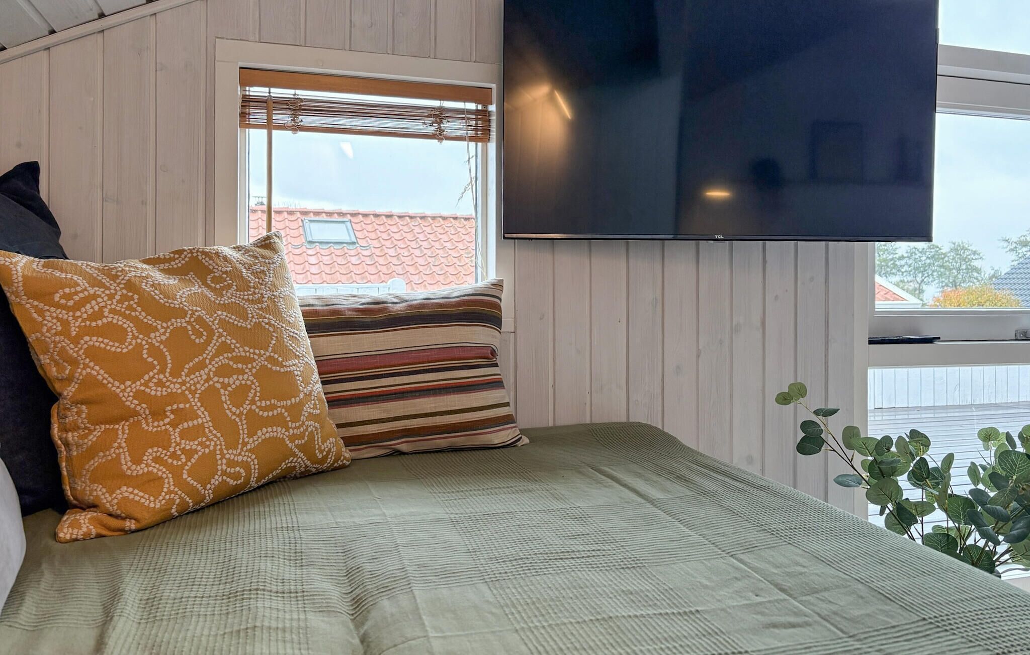 A room with a bed, a TV, a window with blinds, and a plant.