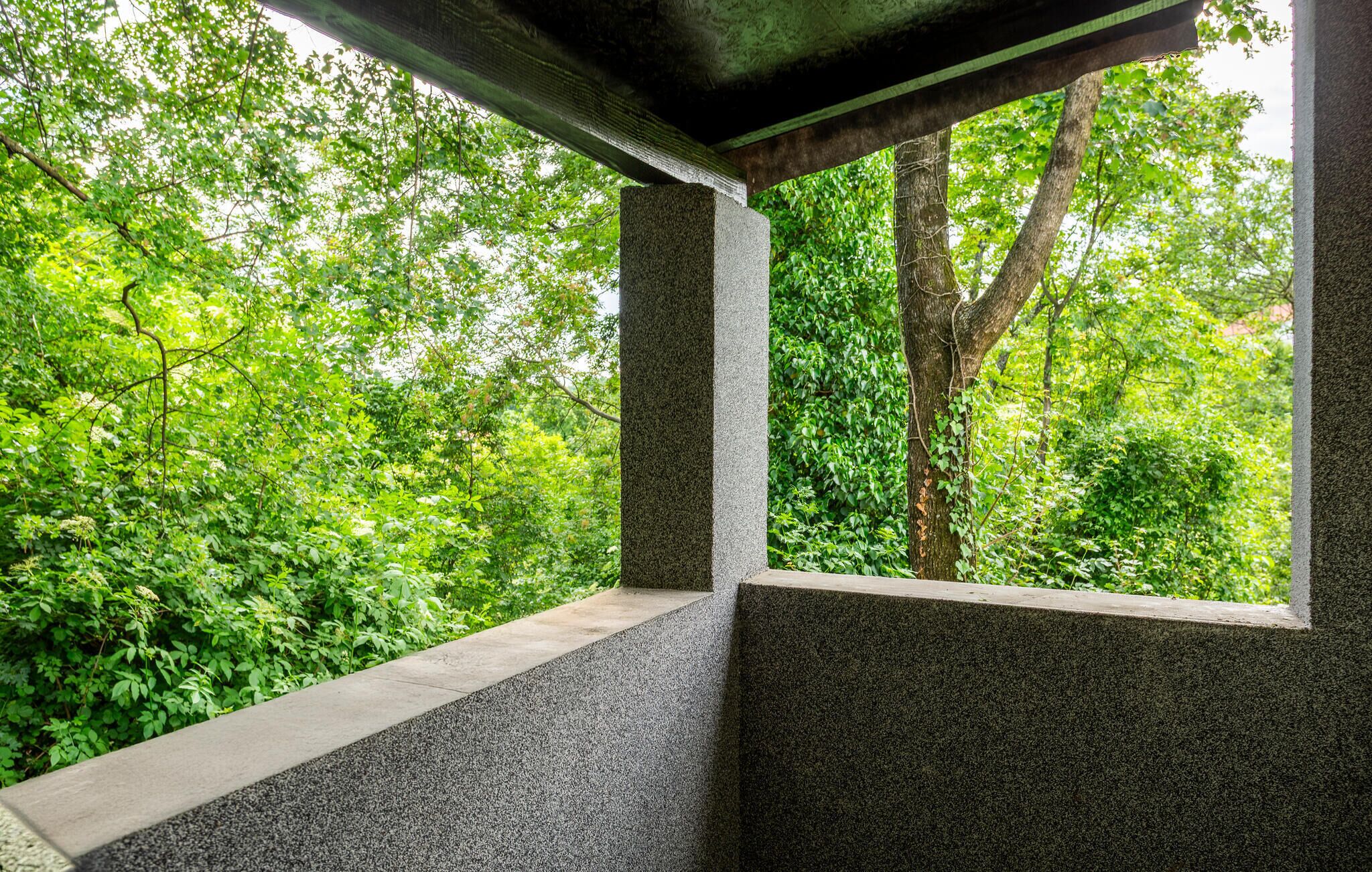 A concrete structure with a view of dense green foliage.