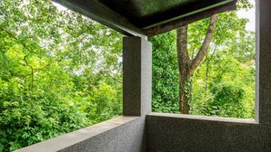 Une structure en béton offrant une vue sur un feuillage verdoyant et luxuriant.