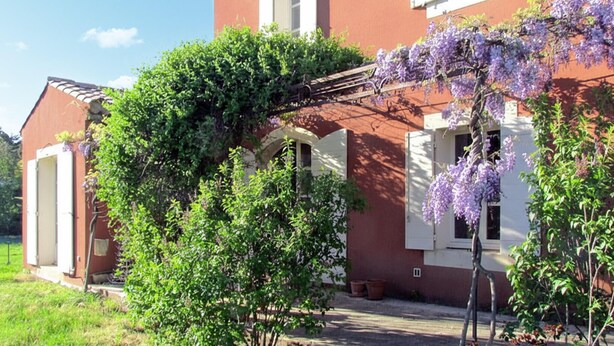 Ein rotes Gebäude mit weißen Fensterläden, einer Veranda und lila blühenden Weinreben.