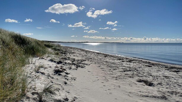 A beach with sand and sparse vegetation, a clear sky, and a calm sea. - Amazing home in Humble with WiFi (Humble)