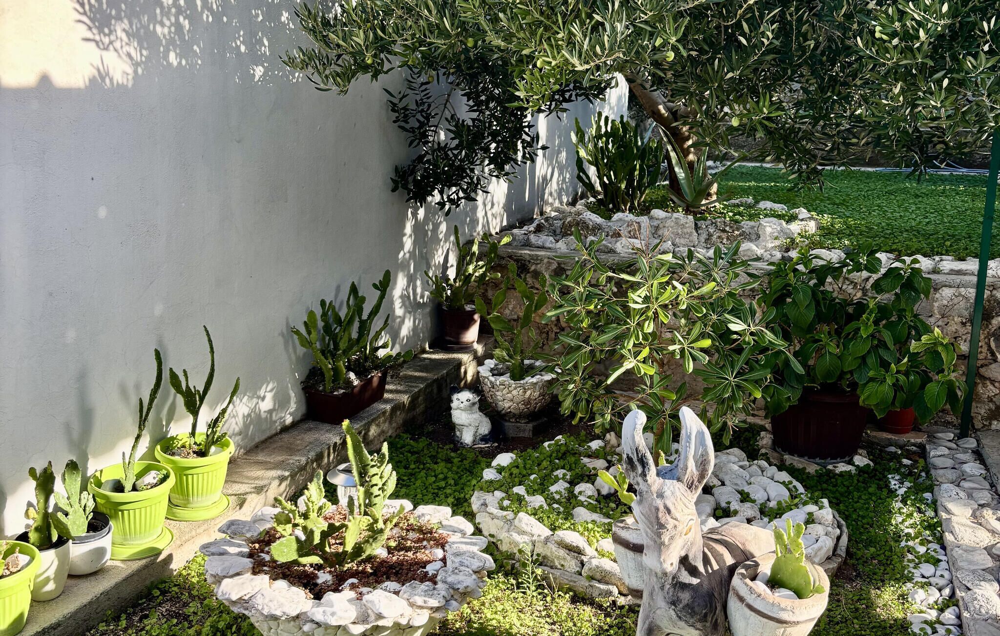 Un jardin agrémenté de différentes plantes en pot, d’un chemin de pierres et d’un mur blanc.