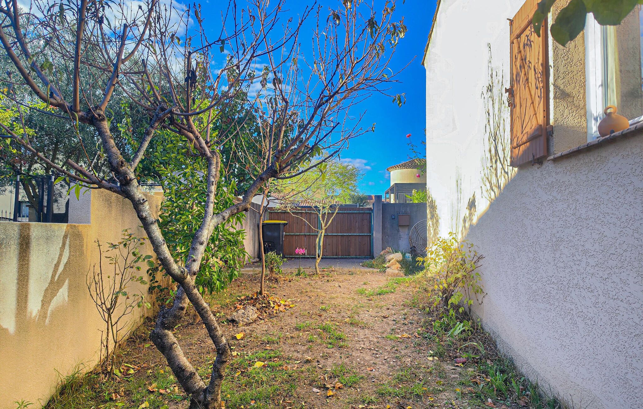 A narrow alleyway with a tree and a building on one side, and a fence and a gate on the other.