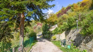 Ein Kiesweg, gesäumt von Grünpflanzen und Steinmauern, führt zu einem Steinhaus mit einem Stuhl und einem Blumentopf.