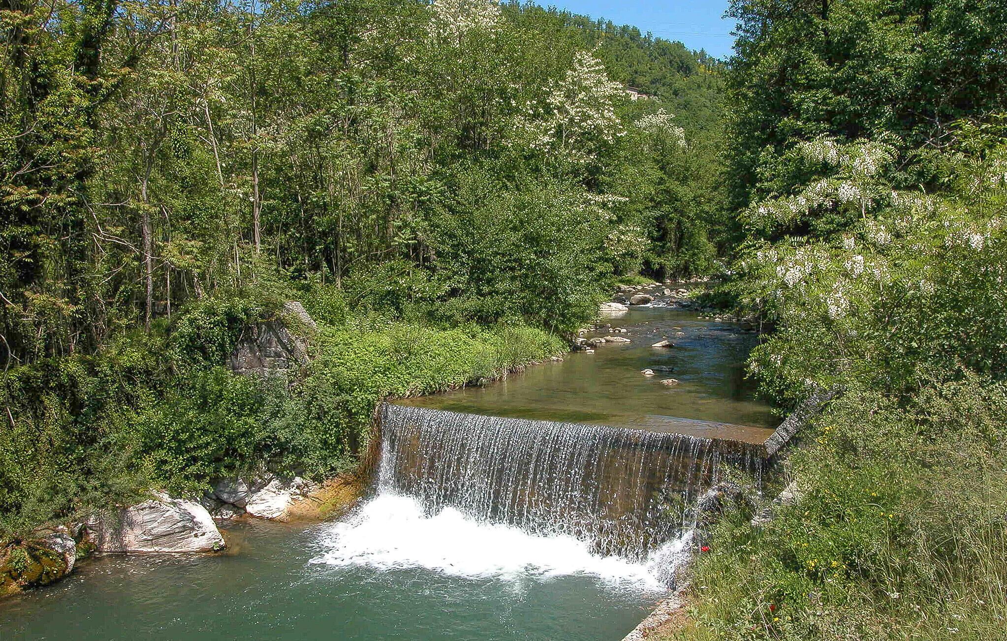 Une cascade située dans une zone boisée, traversée par un ruisseau aux eaux claires.