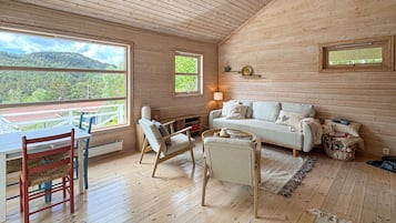 Smart-TV, Kamin