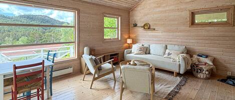 تلفزيون ذكي، مدفأة