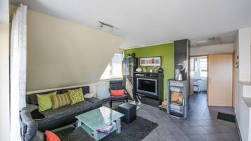 Fernseher, Kamin