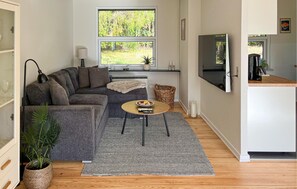 Televisión y chimenea 