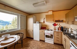 Een koelkast, een oven, een kookplaat, een vaatwasser