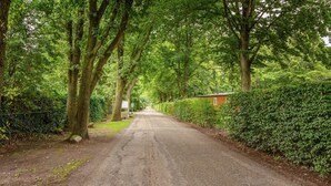 Eine ländliche Straße, gesäumt von üppiger Vegetation und einem kleinen Gebäude.