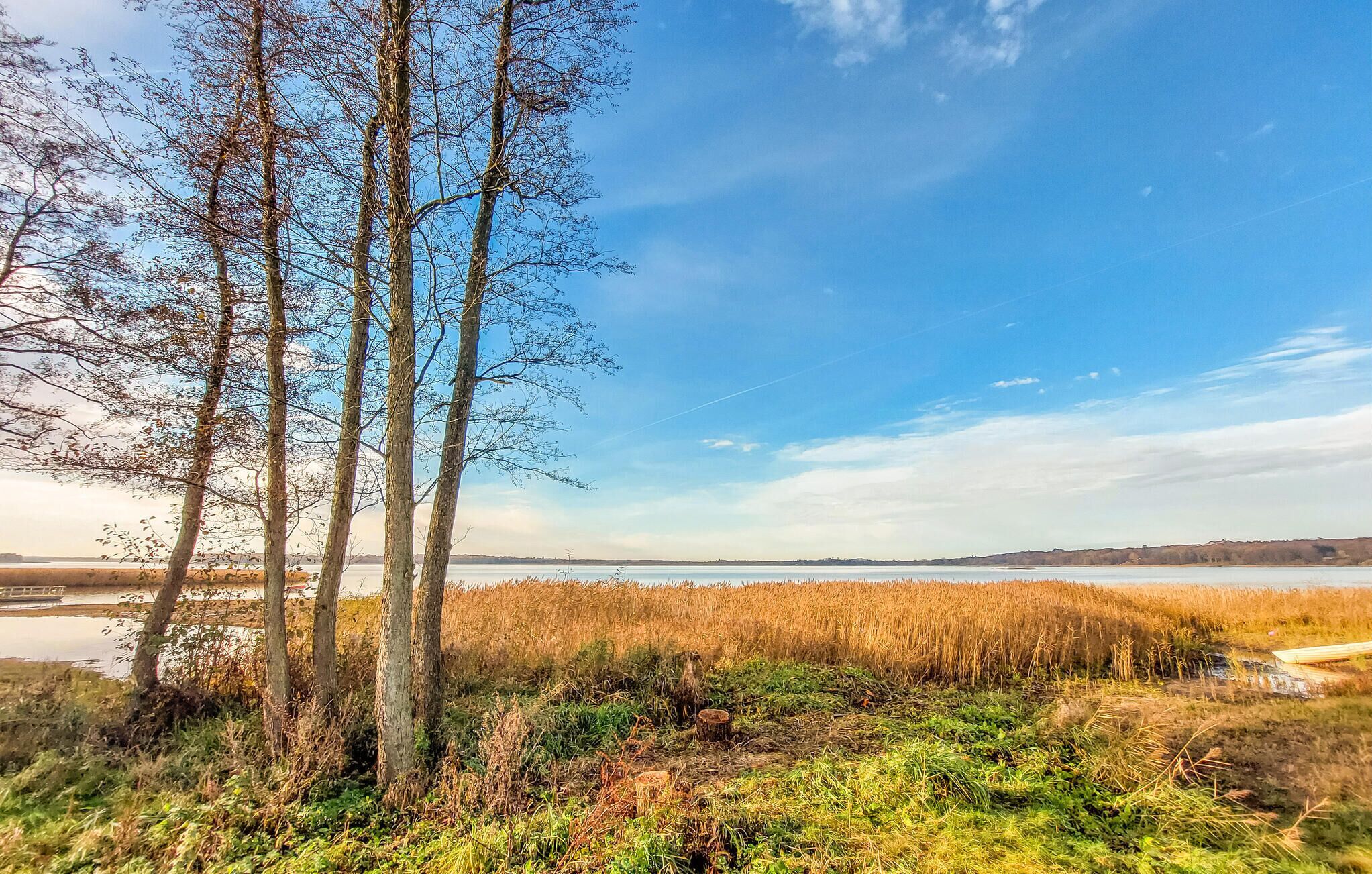 Un paysage naturel caractérisé par de grands arbres, une étendue d’eau et une côte lointaine.