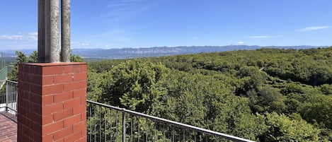 A balcony with a brick wall and metal railing overlooking a dense forest and distant mountains.