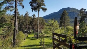 A forested area with a mountain in the background. - Les insolites de la bastide (La Bastide)