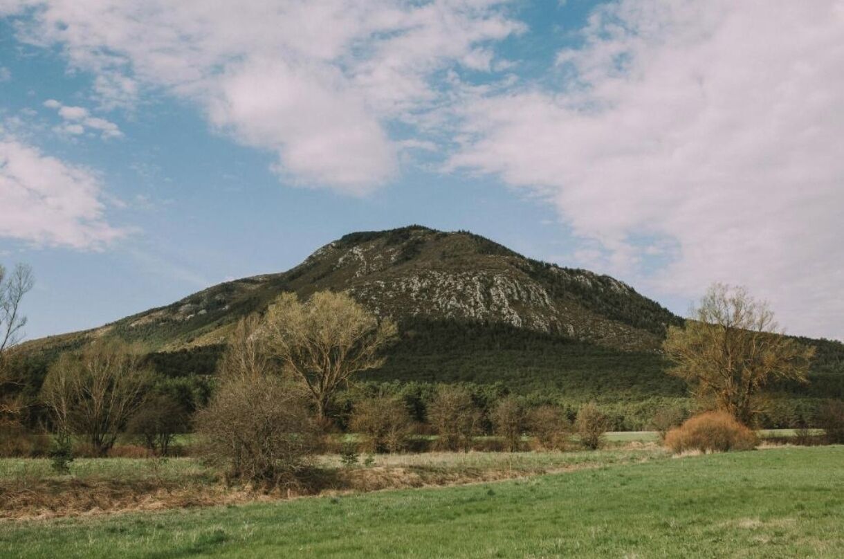 Montanha com primeiro plano gramado e árvores dispersas.
