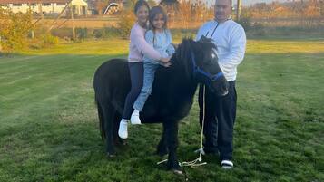 Un prato erboso con un piccolo pony nero, una persona che tiene in braccio un bambino e un edificio sullo sfondo.