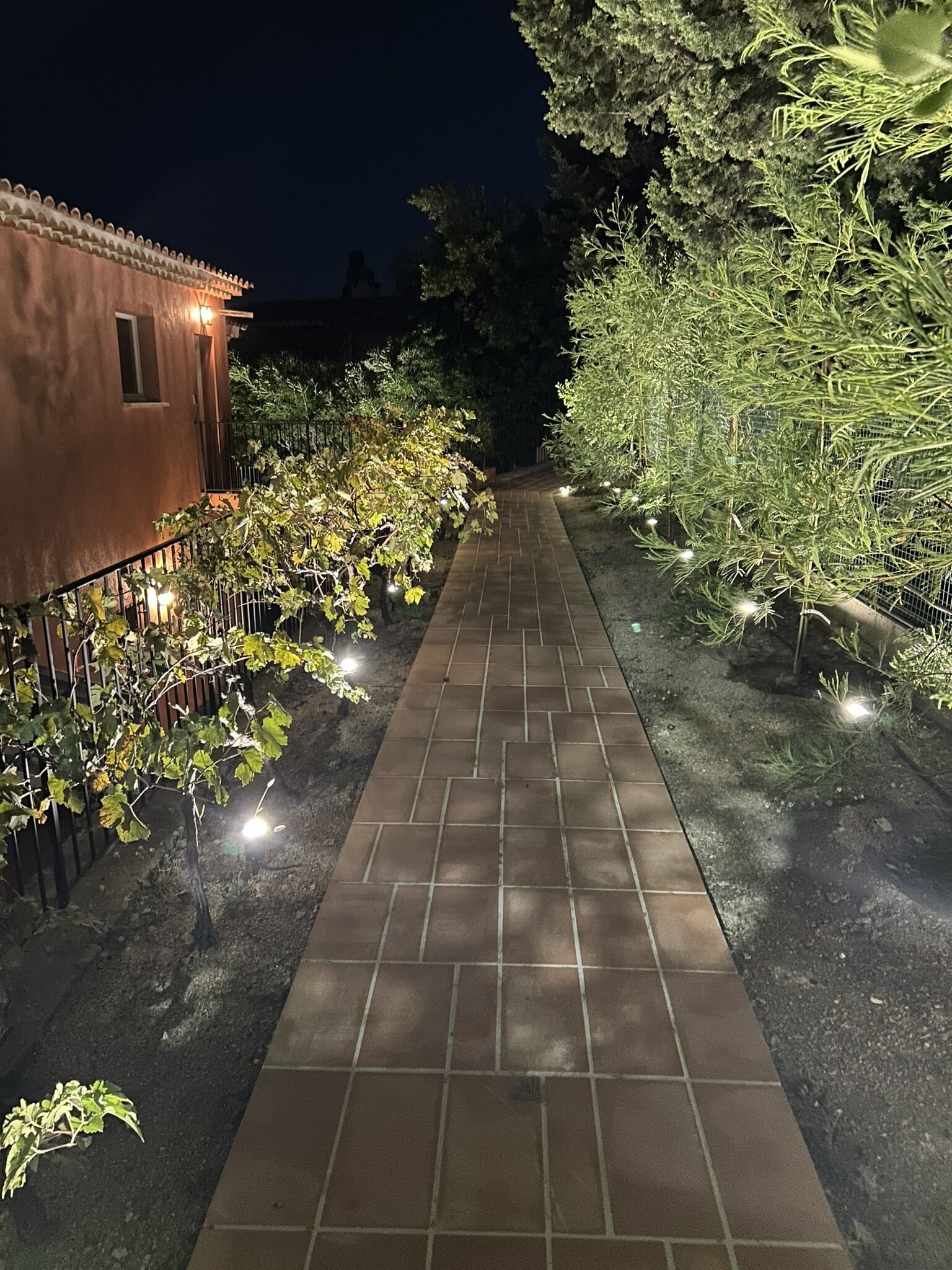 Jardin