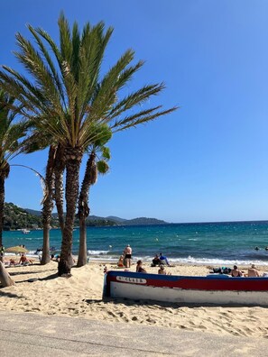 Miscellaneous - Villa Terra Alba (Le Lavandou)