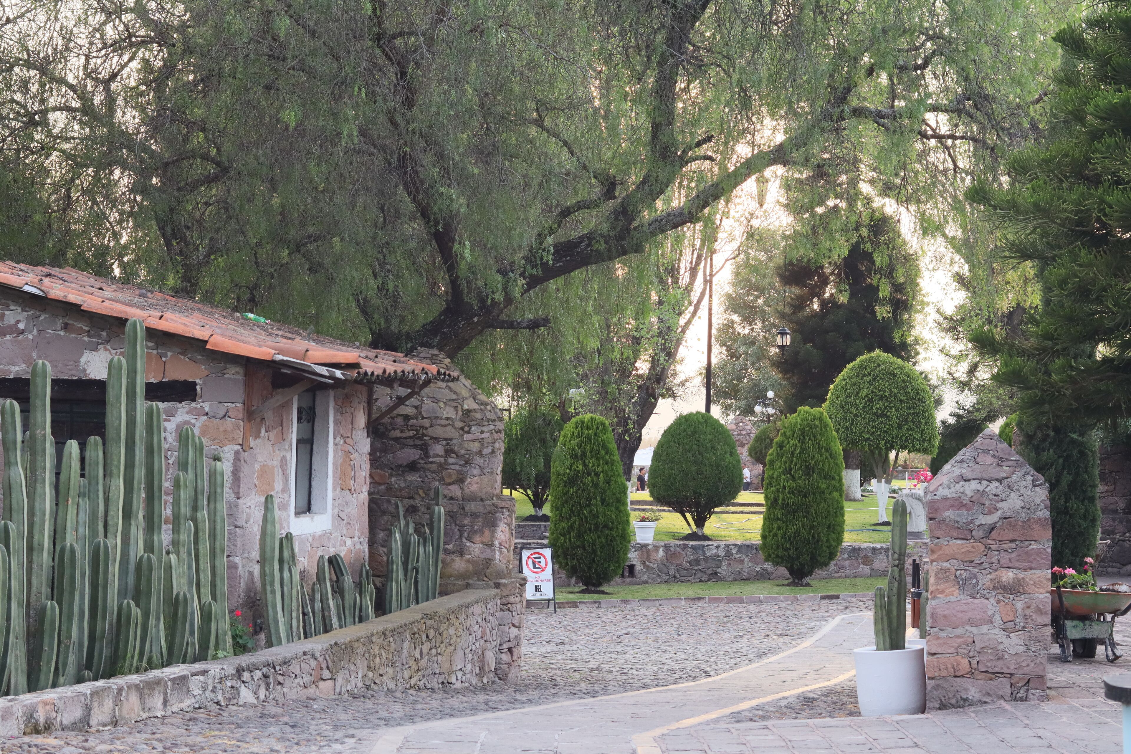 A stone building with a tiled roof, surrounded by cacti and potted plants.
