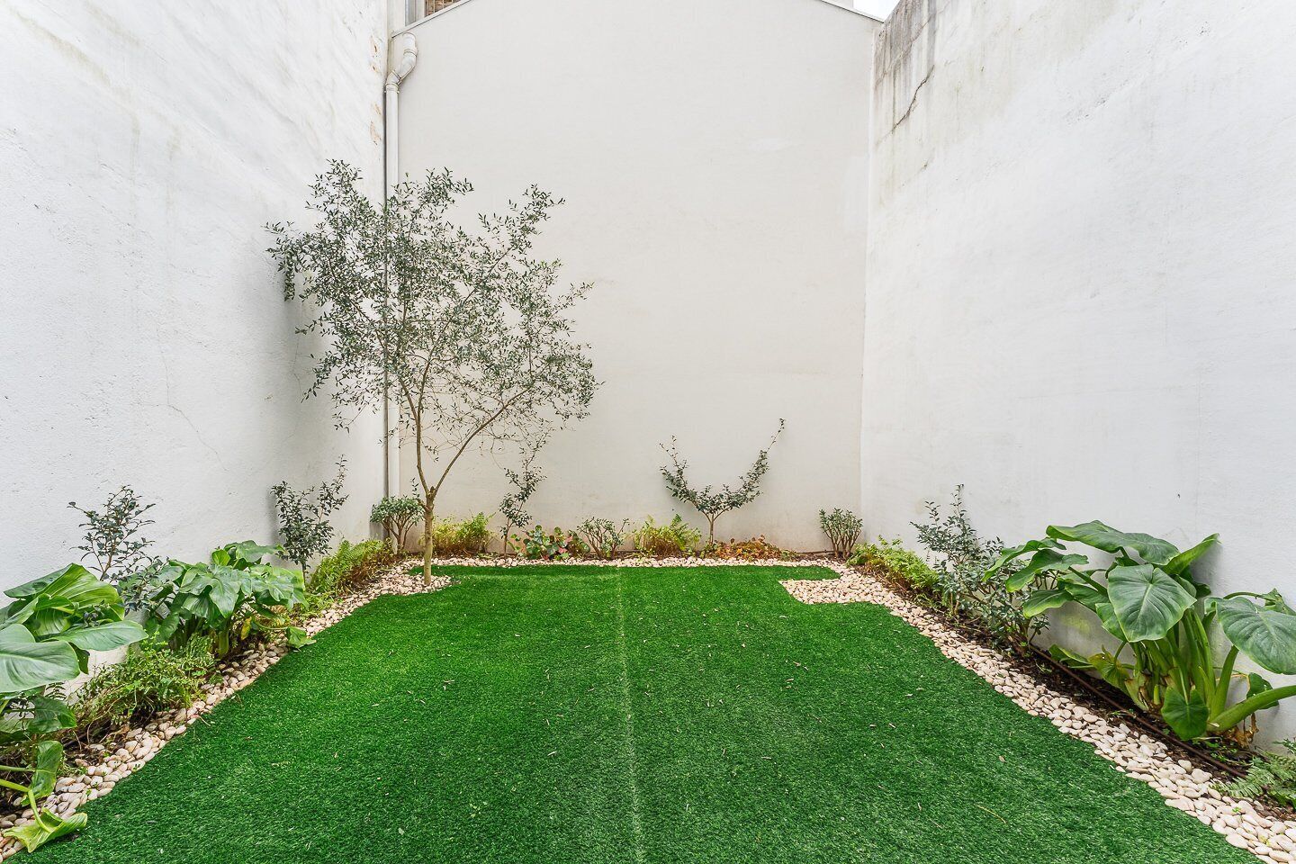 A small, enclosed garden with artificial grass, surrounded by white walls and various plants.