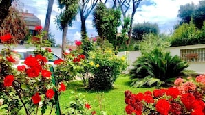 Un jardin avec des fleurs rouges et de l’herbe verte.
