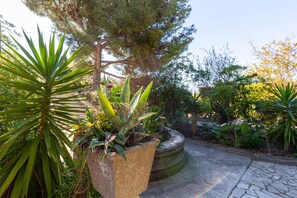 Een tuin met verschillende planten en een pad van stenen.