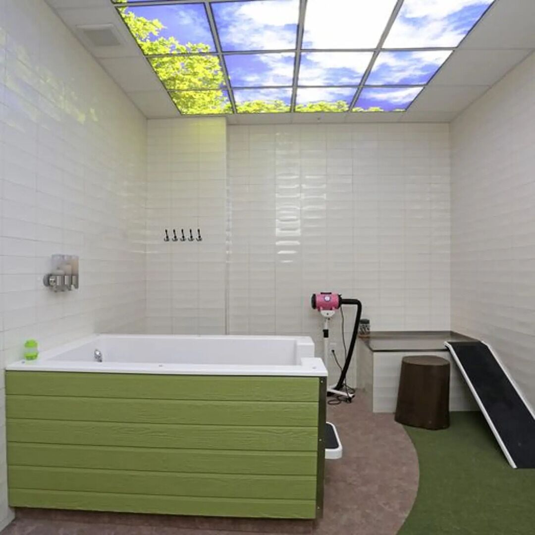 A modern bathroom with a green bathtub, a shower area, and a skylight.
