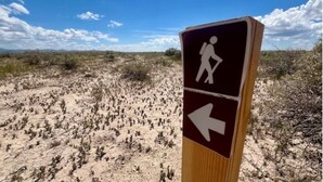 A hiking trail sign in a desert landscape.