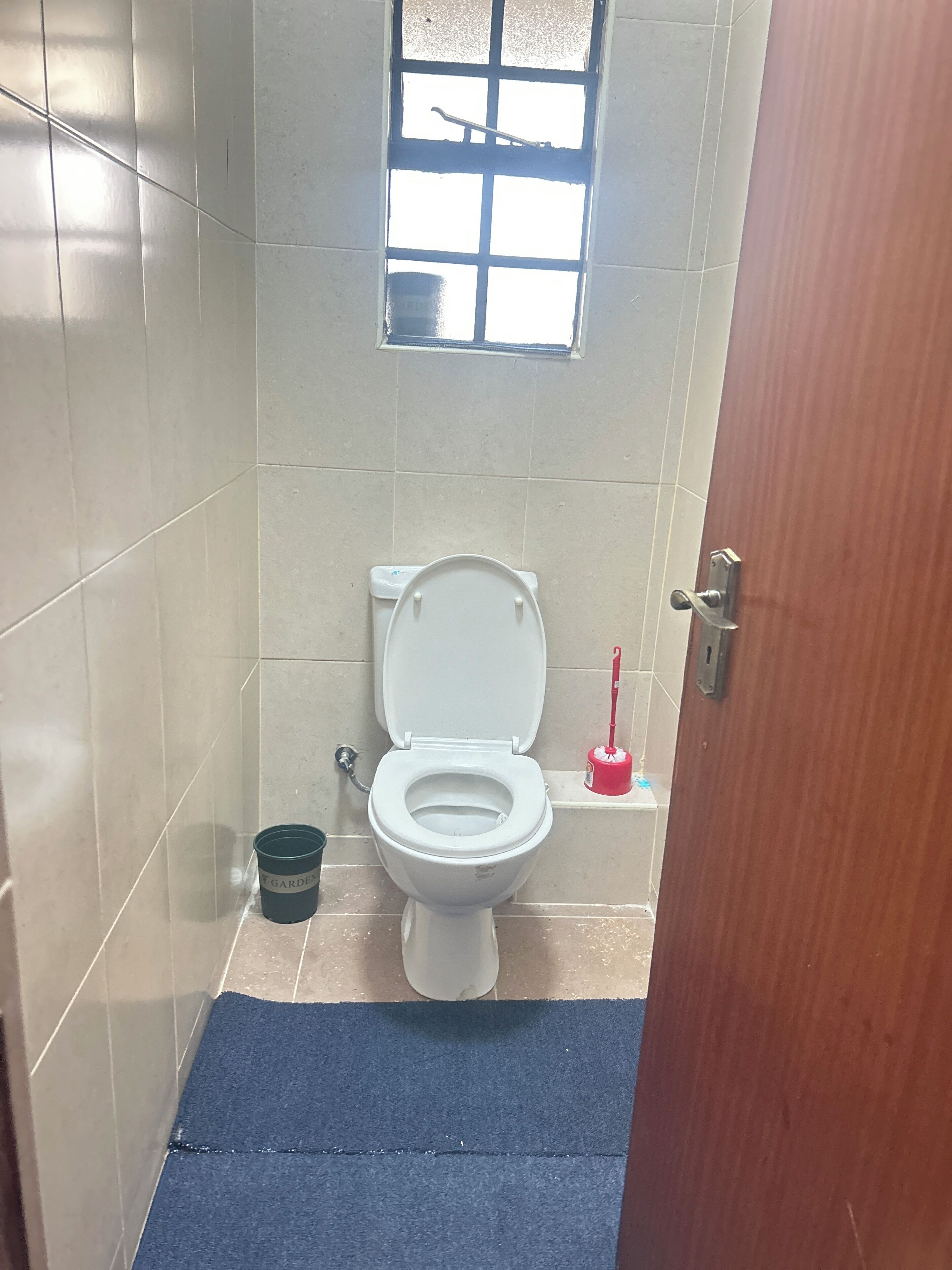 A bathroom with a toilet, a small window, a red cleaning brush, and a blue mat.