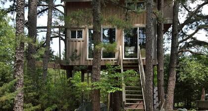 Magical Tree House Rental Nestled in the Woods on Farm Retreat near St. Louis, Missouri