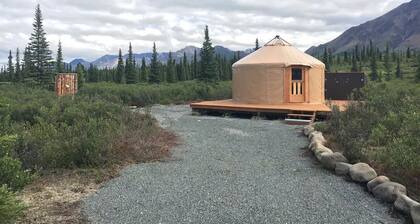 Experience Alaska Yurt Rental near Denali Park in Alaska