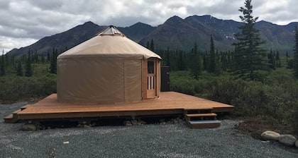 Experience Alaska Yurt Rental near Denali Park in Alaska