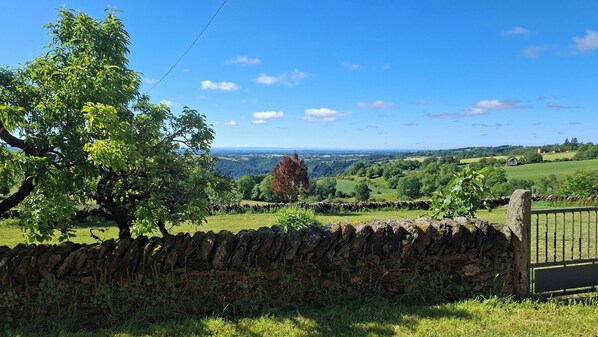 Property grounds - Quiet 3-star country house wifi (Lescure-Jaoul)