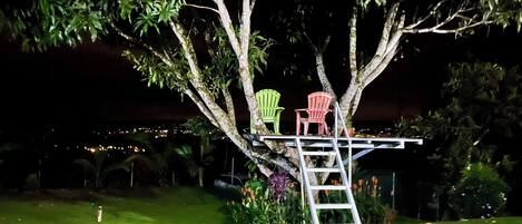 المنطقة المحيطة بالمنشأة