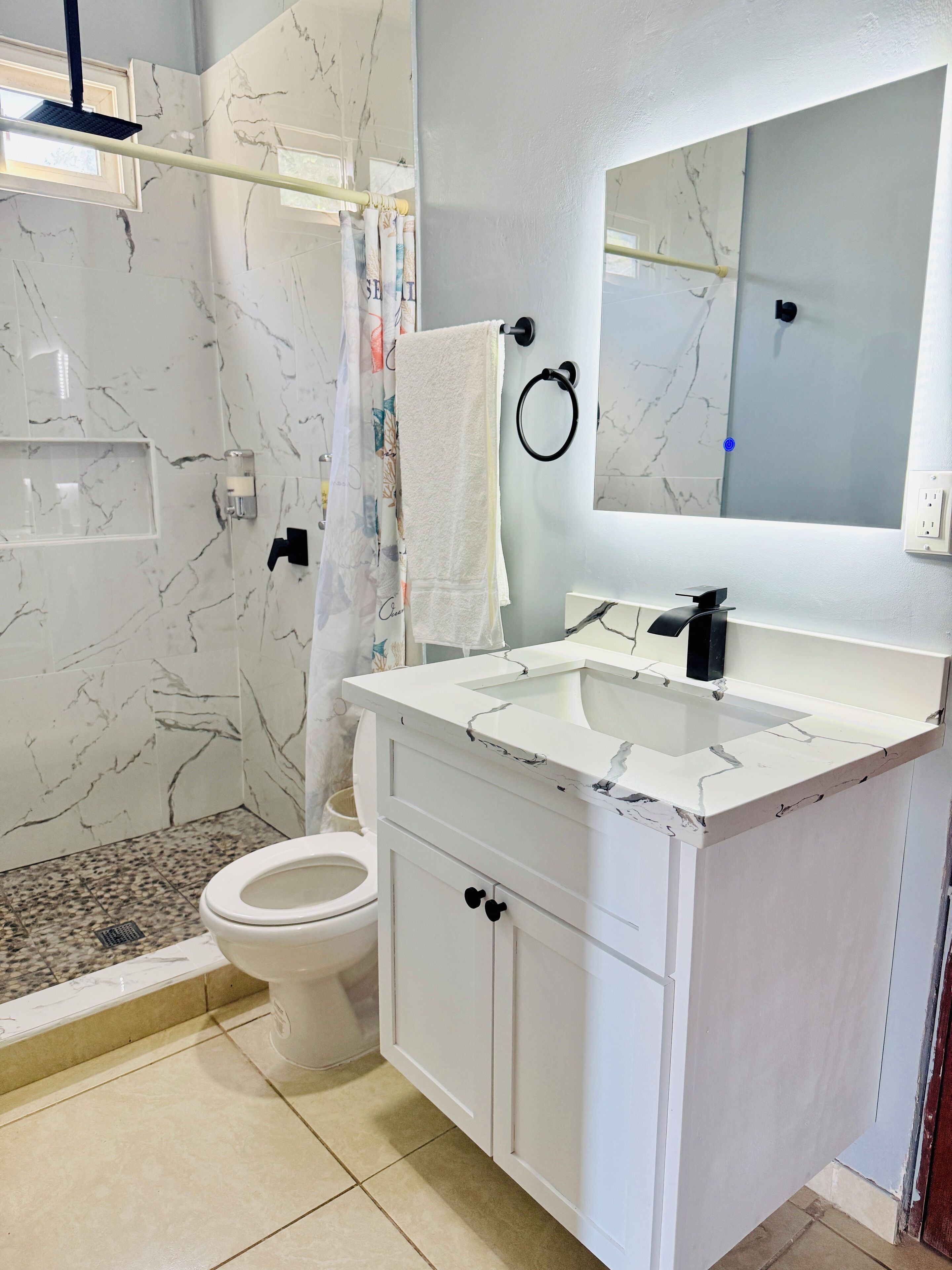 Shower, towels, soap, toilet paper
