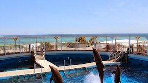 Un espace piscine avec vue sur l’océan, une terrasse avec une rambarde et un poste de surveillance pour les sauveteurs.