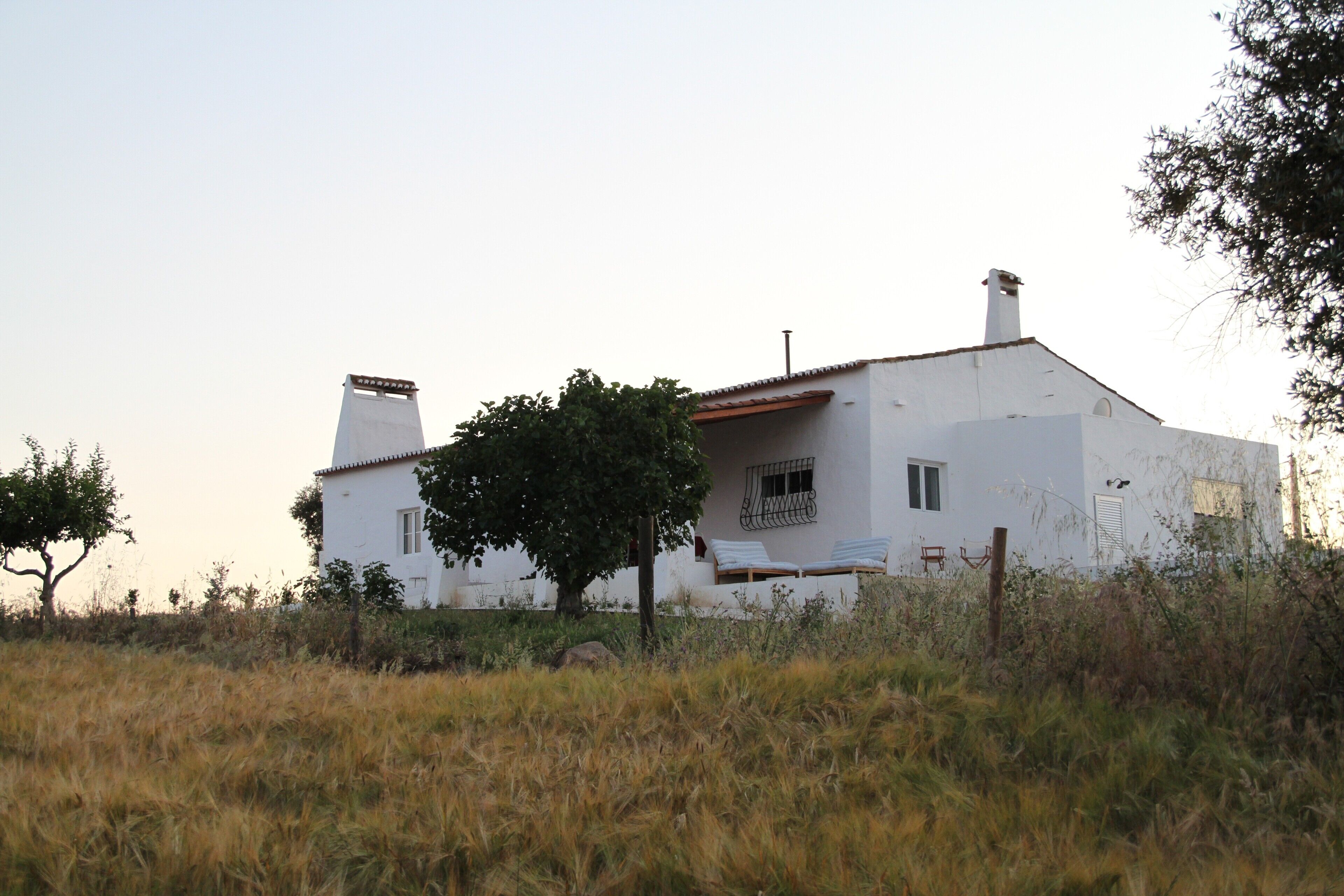Un edificio blanco con techo inclinado, un árbol en primer plano y una valla delantera.
