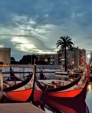 Two boats docked at a marina with a building and palm tree in the background. - Aveiro – The Little Venice of Portugal (Aveiro)