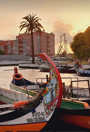 Marina - Aveiro – The Little Venice of Portugal (Aveiro)