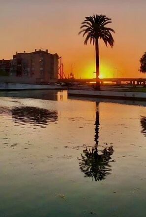 Miscellaneous - Aveiro – The Little Venice of Portugal (Aveiro)