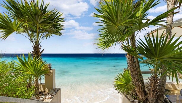 A beach view with clear turquoise water, palm trees, and a sandy shore. - Bellevue Penthouse 10 (Kralendijk)