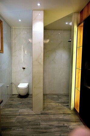 Shower, free toiletries, hair dryer, towels