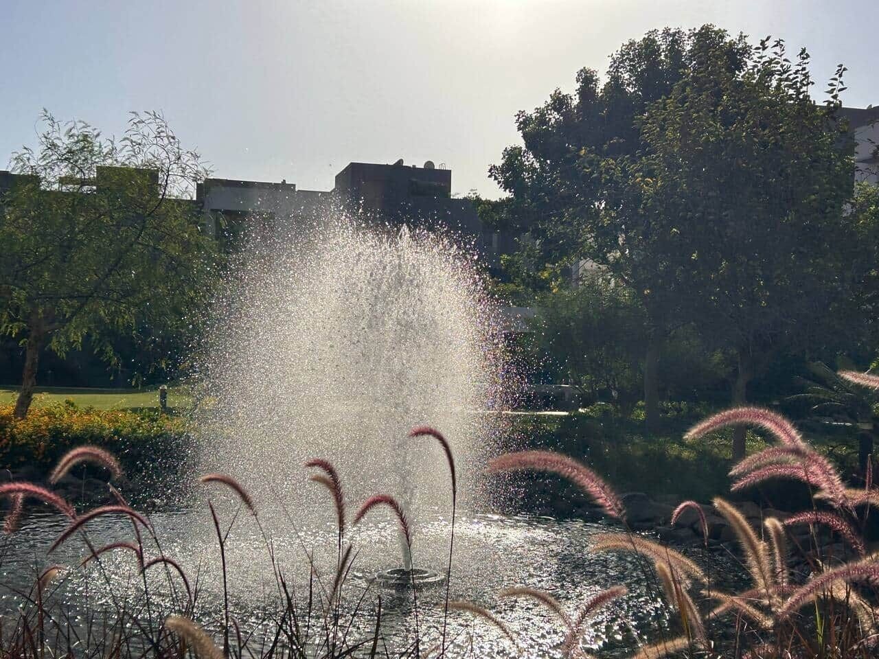 Una fuente con chorros de agua en un parque.